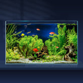 LAQUAL 10-gallon ultra-clear fish tank offers crystal-clear viewing for betta and nano fish