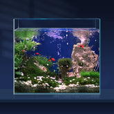 LAQUAL 6.5 gallon ultra-clear tank, overall view shows vibrant colors