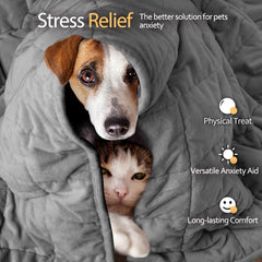 LaSyL pet blanket soft minky side for comfortable lounging and napping.