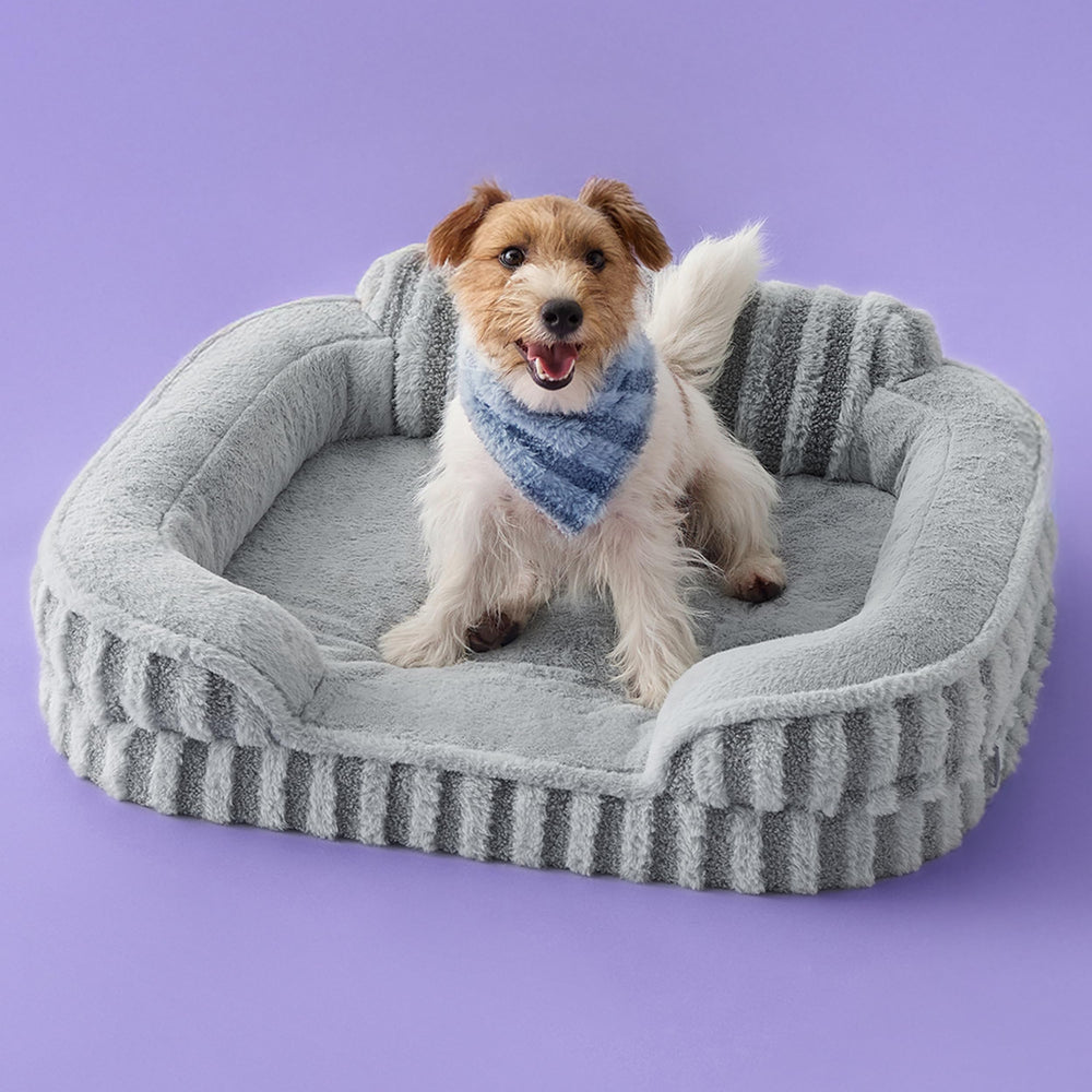 LE SURE Cute Dog Bed Medium top view with egg-crate foam for joint comfort