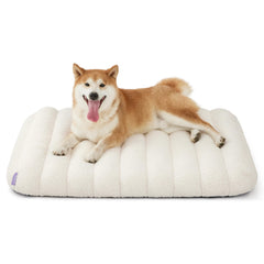 LE SURE Cute Orthopedic Dog Bed cream front view showing cozy support.