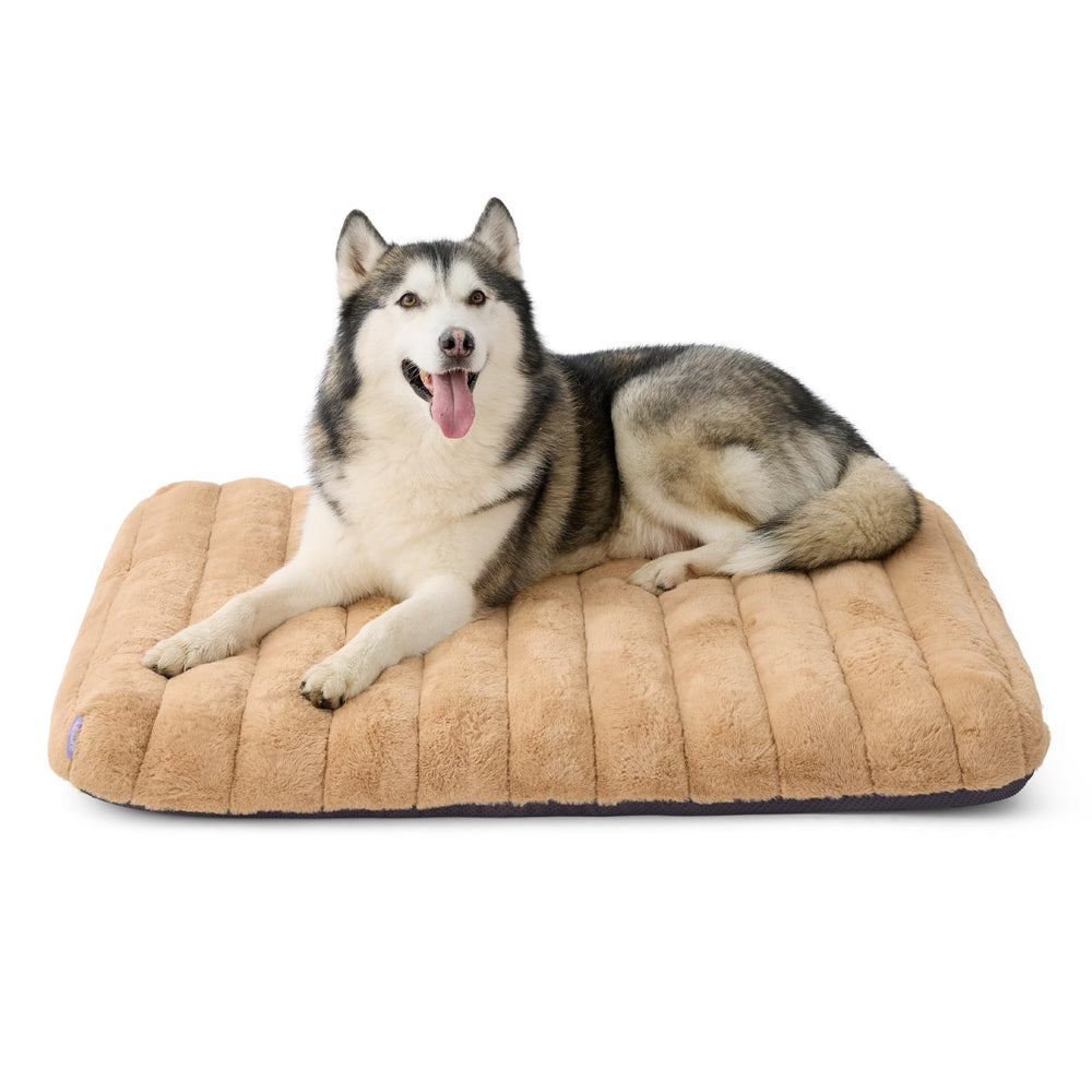 LE SURE cute orthopedic dog bed with plush faux fur for extra-large dogs' dreamy naps.