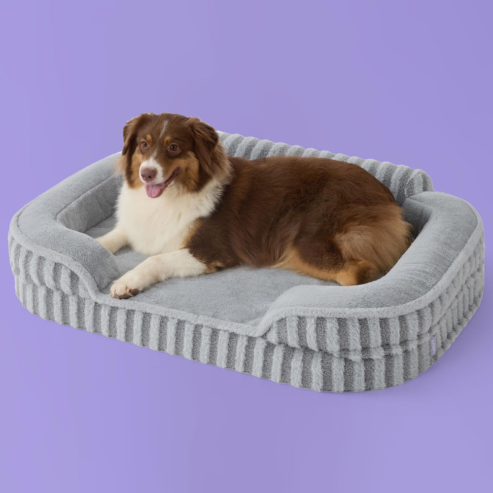 LE SURE dog bed with egg crate foam for orthopedic-like comfort and joint support.