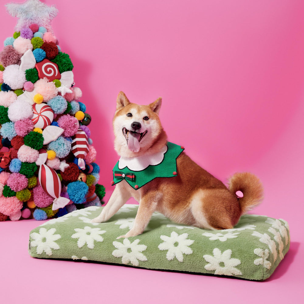 LE SURE Dog Bed Large Removable Cover for easy machine-wash cleaning