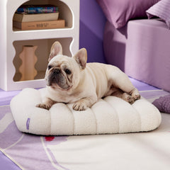 LE SURE orthopedic egg-crate foam closeup highlights weight distribution for comfortable lounging.