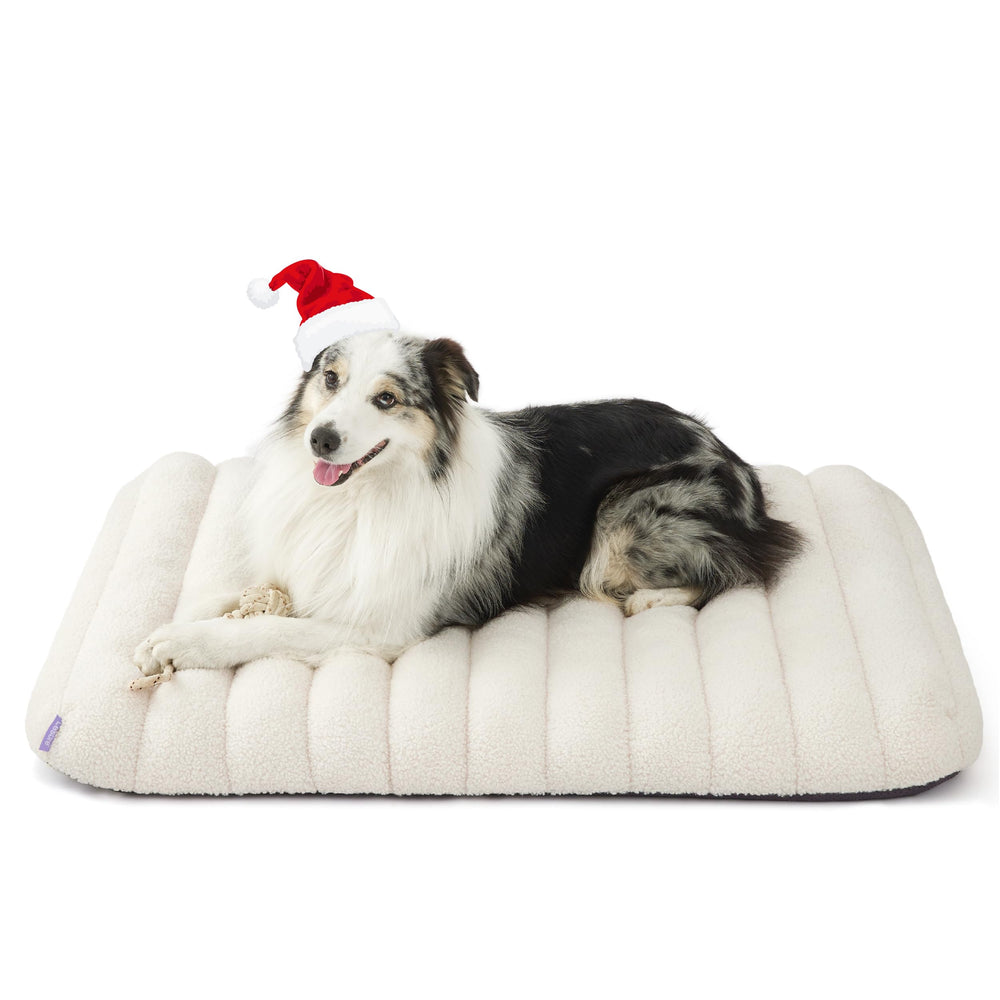 LE SURE orthopedic dog bed large 36x27 cream front view emphasizing roomy comfort