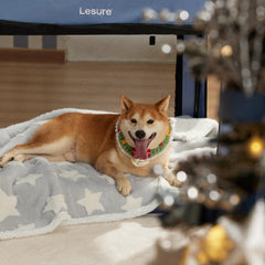 LE SURE waterproof dog blanket grey closeup texture demonstrates cozy warmth for large dogs