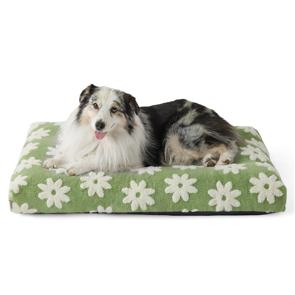 LE SURE XLarge Dog Bed green shredded-foam view shows plush support