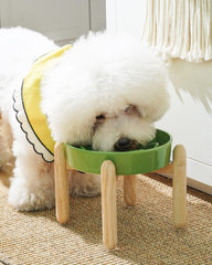 LE TAUCI anti-gulping bowl with maze pattern to slow eating and prevent rapid gulping.