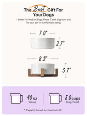 LE TAUCI 7-inch wide-mouth ceramic bowls are dishwasher-safe for easy cleaning