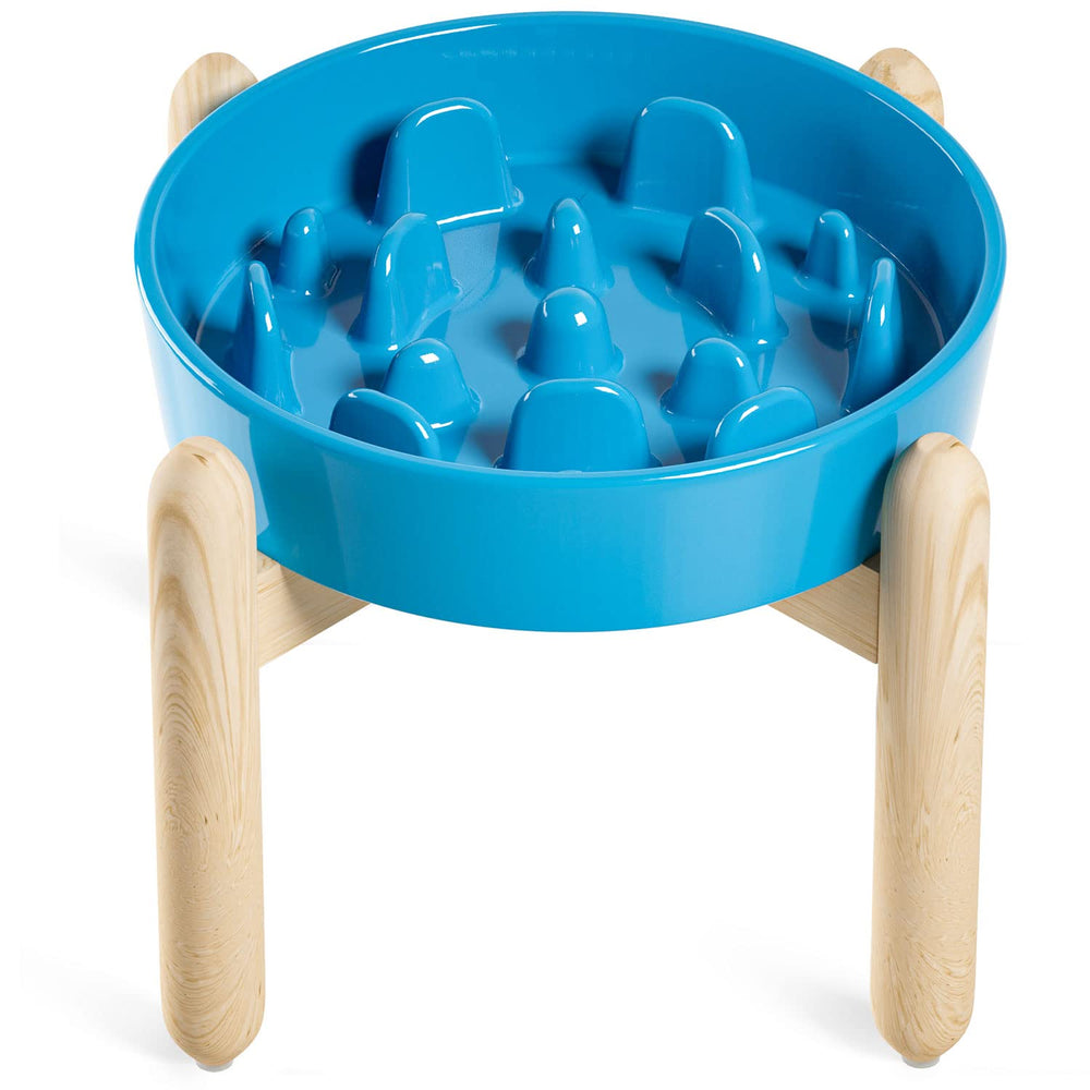 LE TAUCI ceramic slow feeder dog bowl in vortex blue designed to slow fast eaters