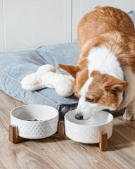 LE TAUCI anti-slip base keeps bowls steady during feeding sessions