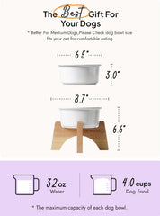 LE TAUCI PET ceramic dog bowl close-up highlighting microwave-safe glaze and easy cleaning.