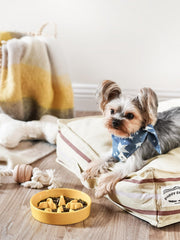 LE TAUCI PET ceramic slow feeder bowl yellow full-dish view supports portion control during meals