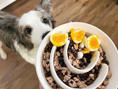 LE TAUCI PET maze-design bowl slows fast eaters for healthier meals