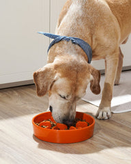 LE TAUCI sun-orange ceramic dog bowl, vibrant and durable for daily feeding.