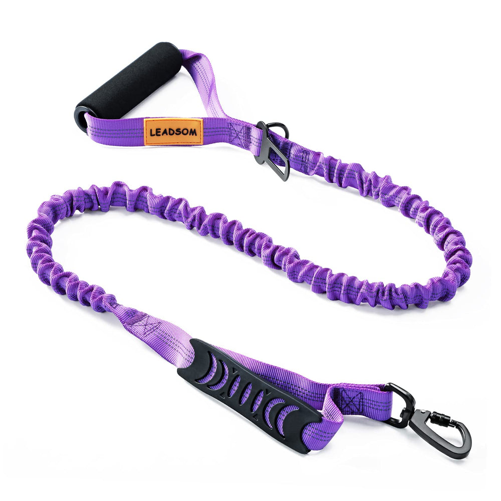 LEADSOM 6ft elastic bungee leash with padded handle for comfortable daily walks.