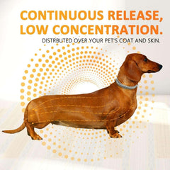 Leafloom flea collar on dog showing comfortable fit during daily wear