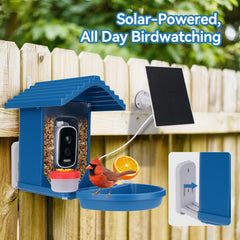 Leapbird AI identification display showcases species names during backyard birdwatching.