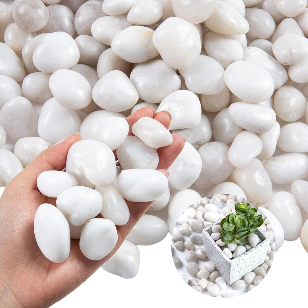 Lechloris white river rocks polished pebbles for indoor plants add clean contrast and drainage.