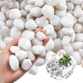 Lechloris white river rocks polished pebbles for indoor plants add clean contrast and drainage.