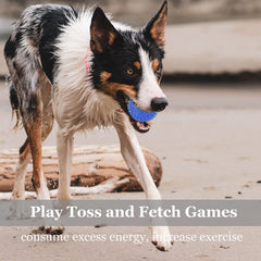 LECHONG 12pack spiky ball orange – high visibility for fetch and training.