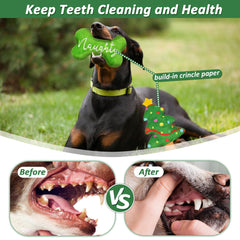 LECHONG Green Bone toy with plush surface for gentle chewing