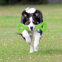 LECHONG convex-design tug toy with two handles for interactive play and stronger dog bonding.