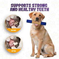 LEE BONBON indestructible dog chew toy for large breed strong jaws.