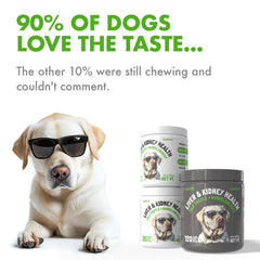 LEGITPET dog enjoying a treat time with soft chews during daily routine
