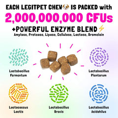 LEGITPET dog-eating-chew demonstrates convenient daily probiotic support