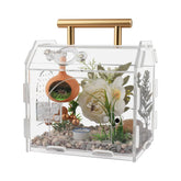 LEIZHENZI Jumping Spider Enclosure front view with crystal-clear visibility for easy observation