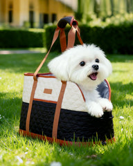 Lekereise two-stage opening design allows pets to peek outside comfortably.