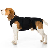 LeleTail dog back brace assembly steps show quick setup and spine support.