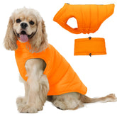 LeleTail medium dog jacket front view offers warm, windproof protection for cold walks.