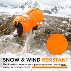 LeleTail neck wrap adds extra wind protection for cold walks.