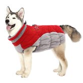 Lelepet dog coat red front view boosts visibility and warmth on outdoor walks.