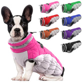 LeLePet dog coat warm waterproof exterior for outdoor walks in chilly weather.