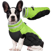 LeLePet dog coat warm waterproof keeps your pet dry on winter walks.