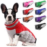 LeLePet dog coat with harness provides warm protection for outdoor walks.