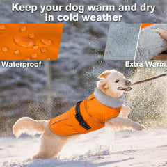 LeLePet waterproof dog coat back view with snug fit and windproof design.