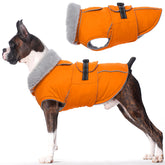 LeLePet waterproof dog coat front view shows warm fleece lining for cold walks.