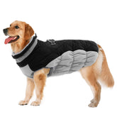 LeLePet dog coat in winter outdoor scene keeps your pup warm on chilly walks.