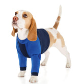LeLePet dog recovery suit front leg protects wounds with breathable comfort