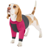 LeLePet dog recovery suit front legs provides breathable protection for post-surgery wear