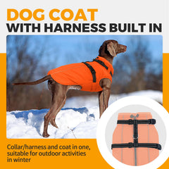 LeLePet windproof and waterproof outer shell with soft fleece inner for warmth.