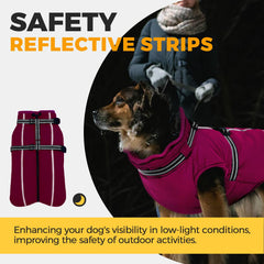 LeLePet easy-on-off back-zip design for quick dressing in rose red XXL.