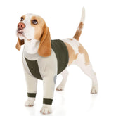 LeLePet recovery suit front legs sleeve supports post-surgery healing and prevents licking.