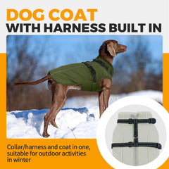 LeLePet reflective back strip enhances night visibility during walks.