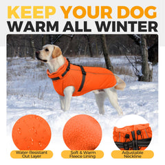 LeLePet reflective strips on back improve night visibility for safer walks.